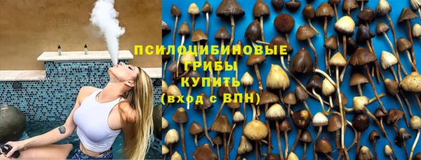тгк Липки