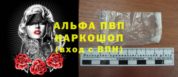 гашик Абаза