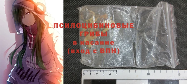 гашик Абаза