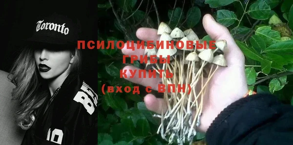 тгк Липки