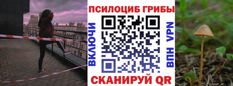 сколько стоит  Краснодар  Галлюциногенные грибы мухоморы 